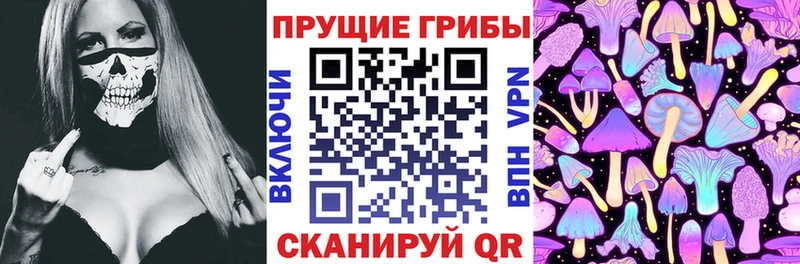 Галлюциногенные грибы Cubensis  Купить где  Медвежьегорск 