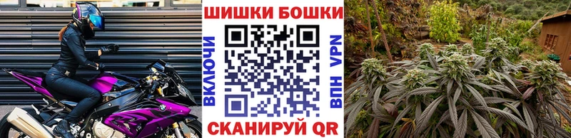Шишки марихуана Amnesia  Купить  Медвежьегорск 
